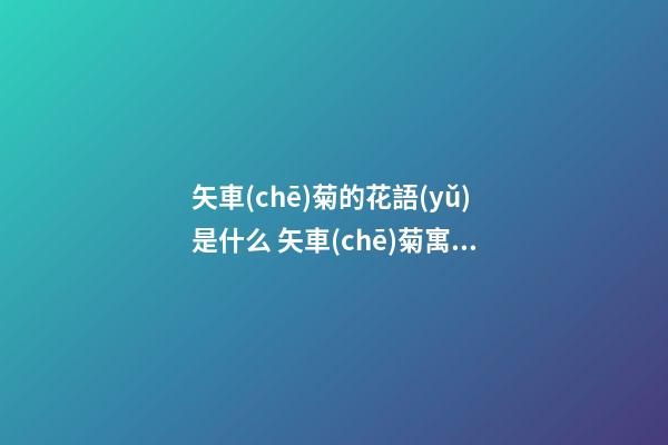 矢車(chē)菊的花語(yǔ)是什么 矢車(chē)菊寓意